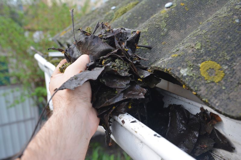 Clogged Gutter Clearing in Fredericksburg, VA
