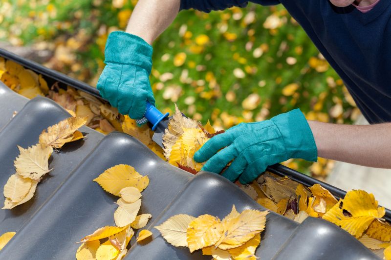 Commercial Gutter Maintenance in Roseville, CA