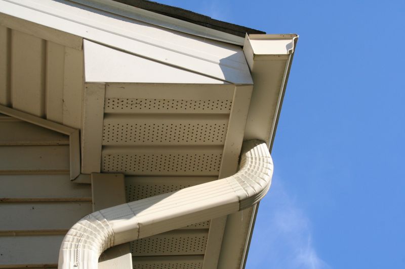 Downspout Cleaning in Fredericksburg, VA