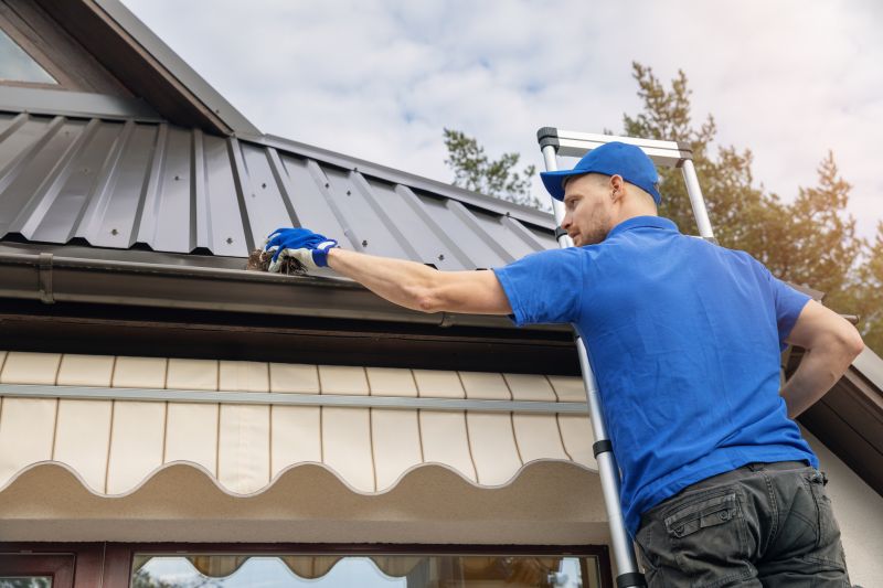 Gutter Cleaning in Annapolis, MD