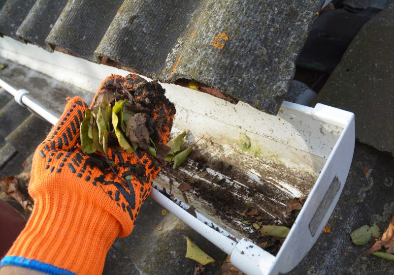Gutter Leaf Clearing in Westchester County, NY