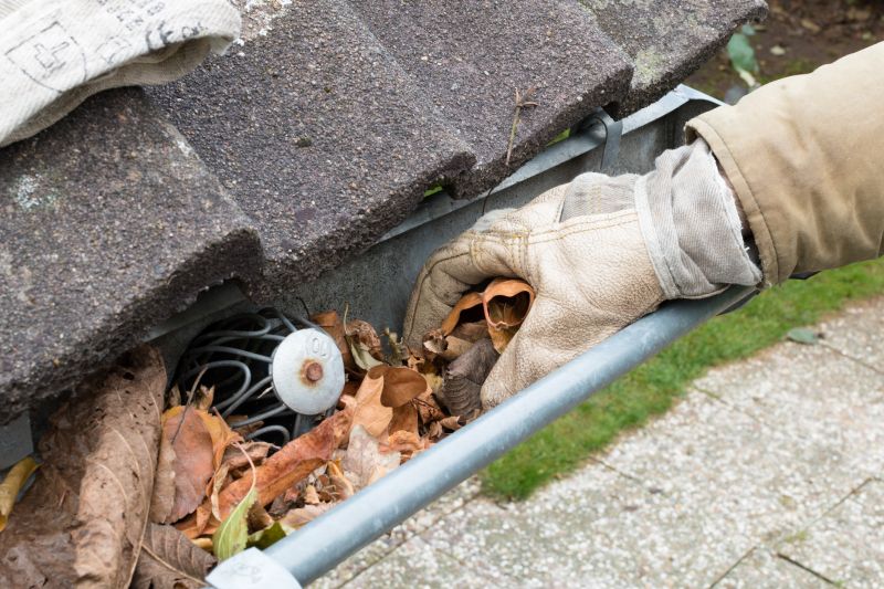 Gutter Leaves Removal in Frederick, MD