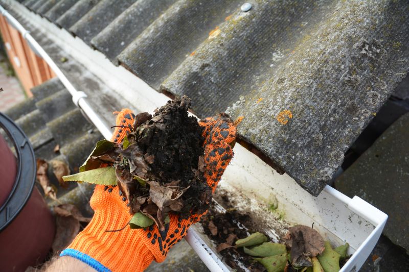 Gutter Leaves Removal in Arvada, CO