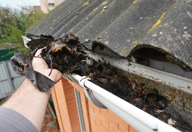 Gutter Leaves Removal in Pittsburgh, PA