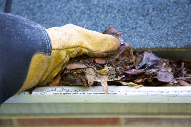 Gutter Pine Needle Removal in Fredericksburg, VA