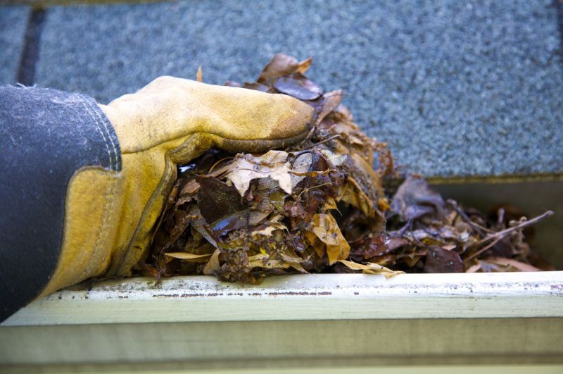 Rain Gutter Clearing in Baltimore, MD