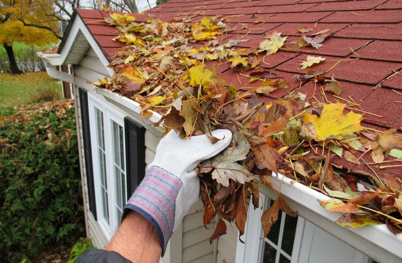 Roof Gutter Cleaning in Rochester, NY